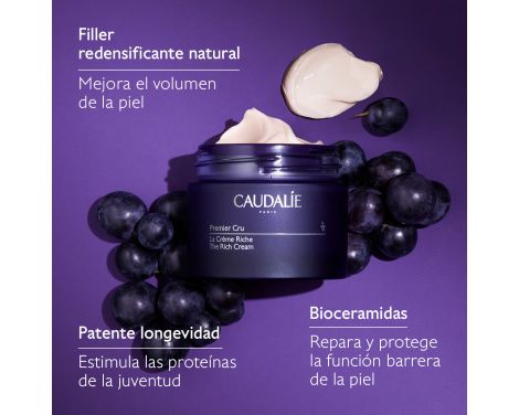 Comprar Caudalie Premier Cru La Crema Rica 50ml