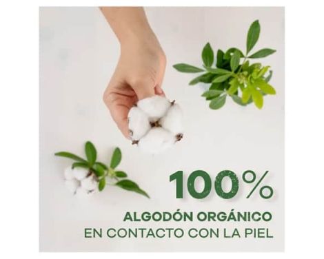 Comprar Ausonia Compresas Cotton Protección Noche Con Alas 8 uds