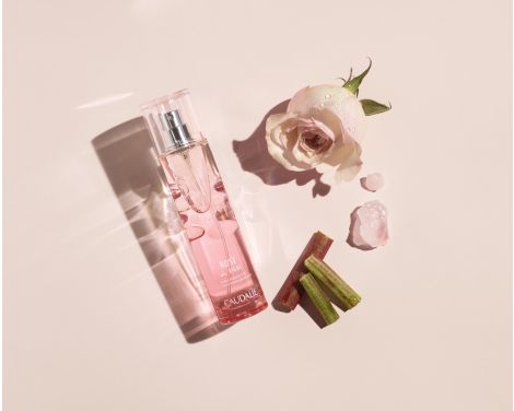 Comprar Caudalie Rose De Vigne 50ml