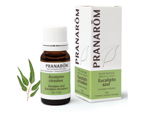 Pranarom-Aceite-Esencial-Eucalipto-Azul-10ml-0