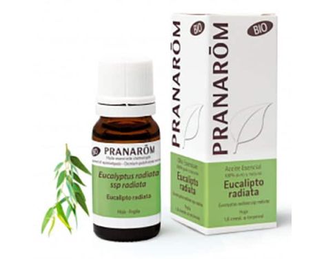 Pranarom-Bio-Aceite-Esencial-Eucalipto-Radiata-10ml-0