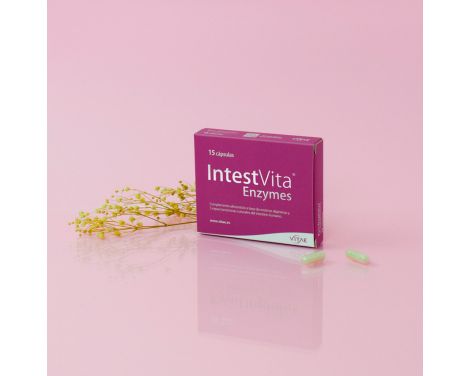 Comprar Vitae Intestvita Enzymes 15 Cápsulas