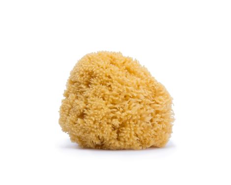 Suavinex-Esponja-Natural-Infantil-0