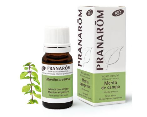 Pranarom Aceite Esencial Menta de Campo 10ml