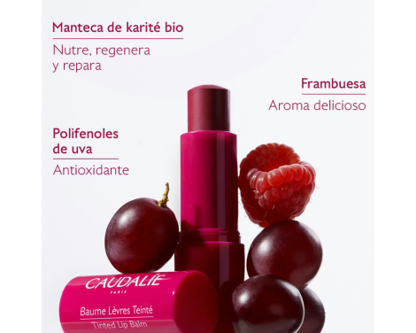 Caudalie Tratamiento para Labios Frambuesa sin receta