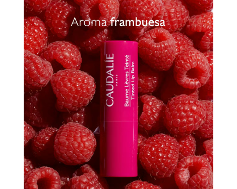 Comprar Caudalie Tratamiento para Labios Frambuesa
