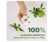 Comprar Ausonia Compresas Cotton Protección Noche Con Alas 8 uds