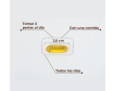 Comprar Kobho Omega 3 60 Perlas