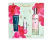 Caudalie Cofre Bestsellers Cuidado y Luminosidad Acné